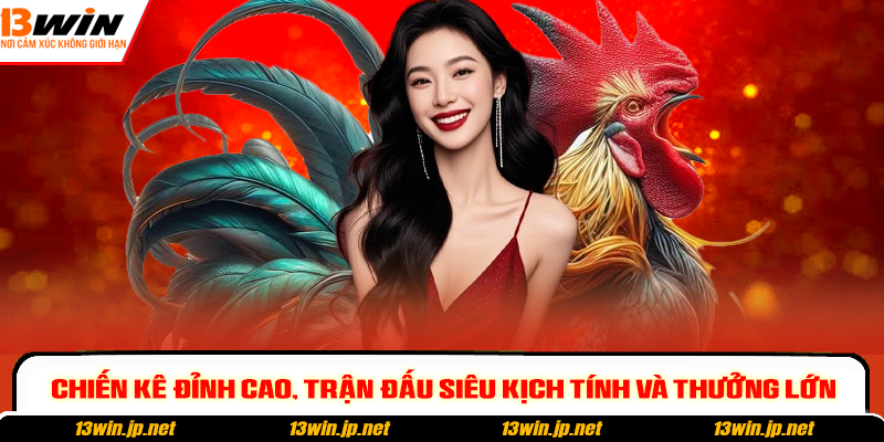 Chiến kê đỉnh cao, trận đấu siêu kịch tính và thưởng lớn