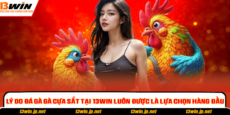 Lý do đá gà gà cựa sắt tại 13WIN luôn được là lựa chọn hàng đầu